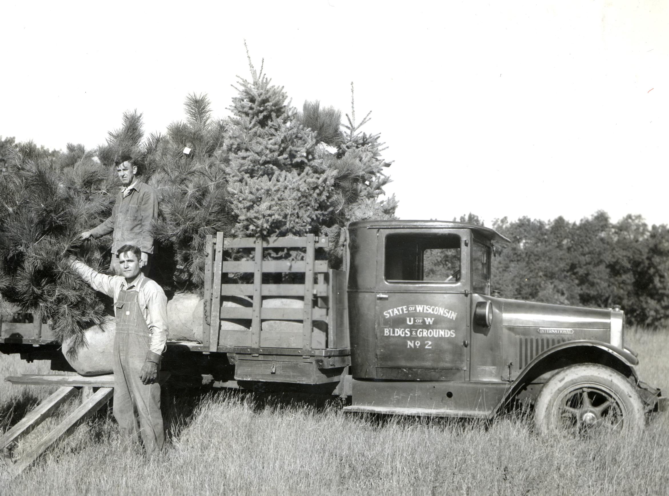 Planting trees at the Arboretum. September 28, 1933. CCC workers stand by a truck filled with pine trees to be planted in the Arboretum. Madison, Wisconsin.